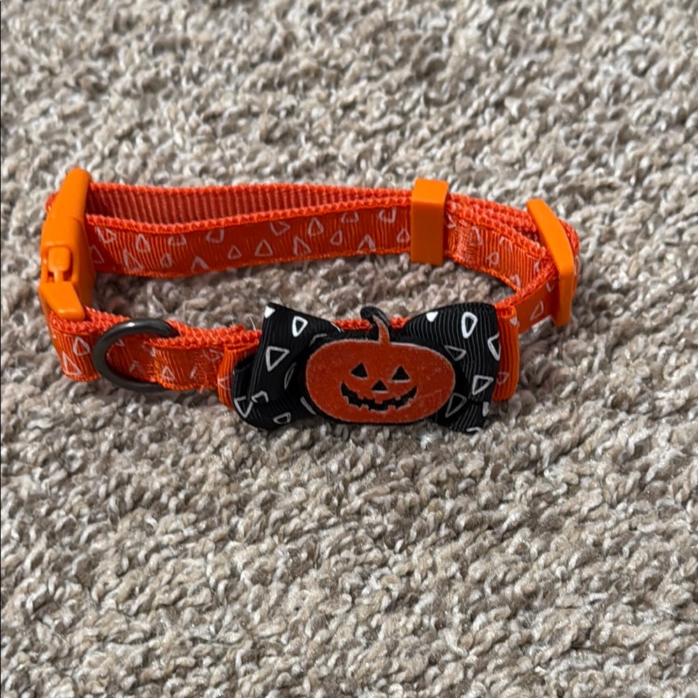 Orange Pumpkin Dog Collar